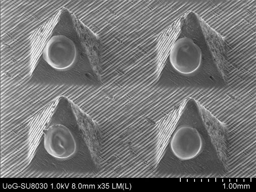 Pyramidal microneedles with piezo-spotted drops. The needle array was arranged at 45° on the Nano-Plotter.
