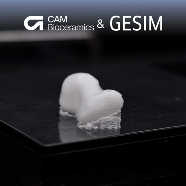 Tuning von Calciumphosphat für Bioprinting 1 3D-Druck des Kahnbein mit Calziumphosphat